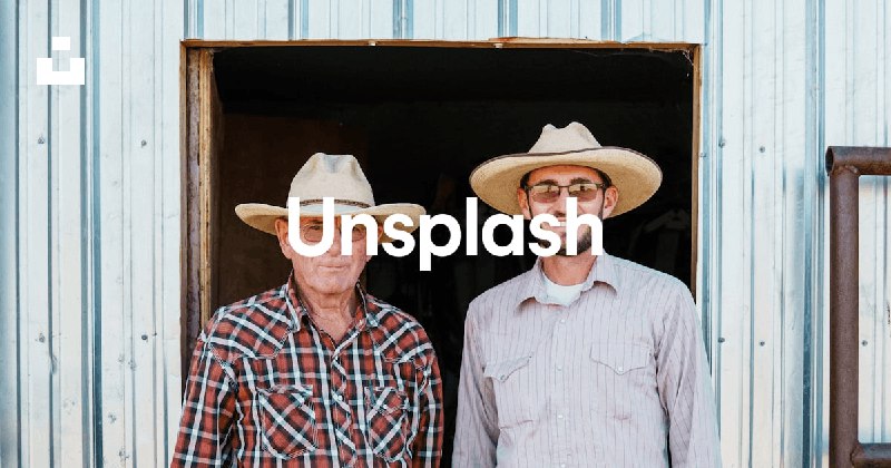 Beautiful Free Images & Pictures | Unsplash