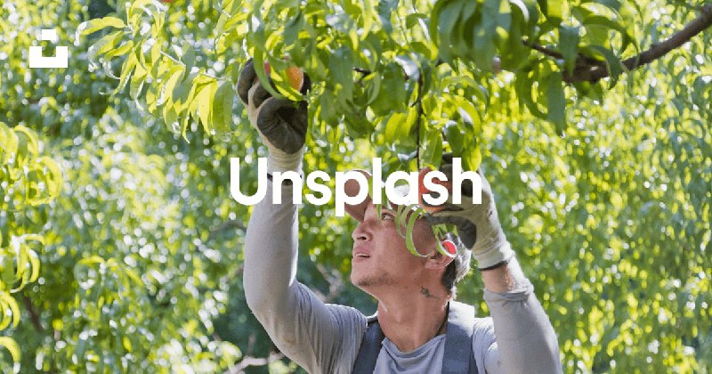 Beautiful Free Images & Pictures | Unsplash