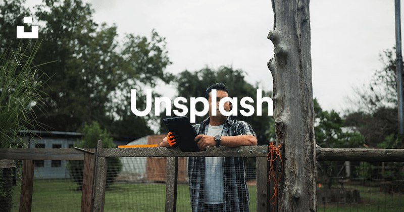 Beautiful Free Images & Pictures | Unsplash