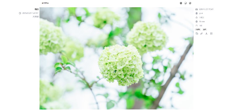 PicImpact 是一个支持自部署的摄影师专用的摄影作品展示网站，基于 Next.js + Hono.js 开发