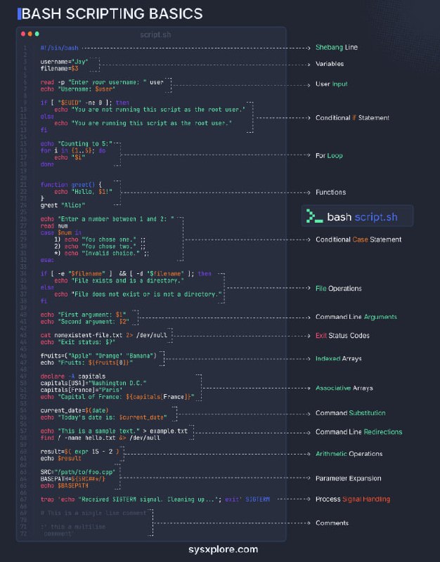 一张图学会基本Bash脚本的编写